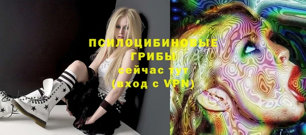 ПСИЛОЦИБИНОВЫЕ ГРИБЫ Балабаново