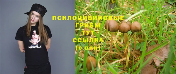 ПСИЛОЦИБИНОВЫЕ ГРИБЫ Балабаново
